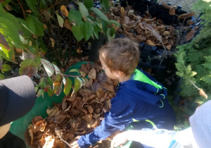 chłopiec wrzuca liście do kompostownika